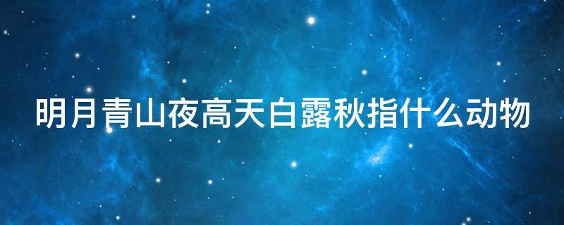 明月青山夜高天白露秋指什么动物（明月青山是什么意思）