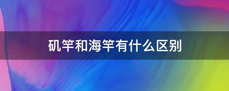 矶竿和海竿有什么区别（矶竿海竿有什么区别视频）