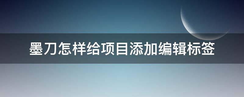 墨刀怎样给项目添加编辑标签（墨刀怎么添加文字）