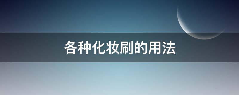 各种化妆刷的用法（各种化妆刷的用法和用量）