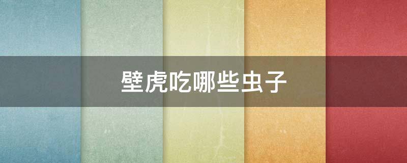 壁虎吃哪些虫子 壁虎会吃什么虫子