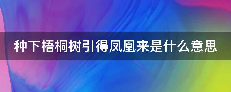 种下梧桐树引得凤凰来是什么意思 种下梧桐树 凤凰自然来