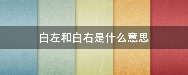 白左和白右是什么意思（白左和白右是什么意思区别）