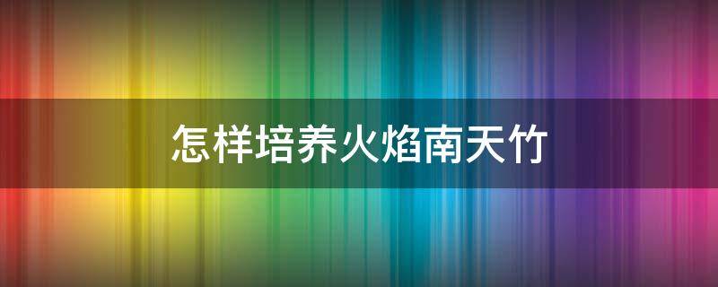怎样培养火焰南天竹（火焰南天竹怎么培育）