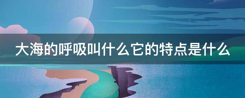 大海的呼吸叫什么它的特点是什么（大海的呼吸叫做什么）