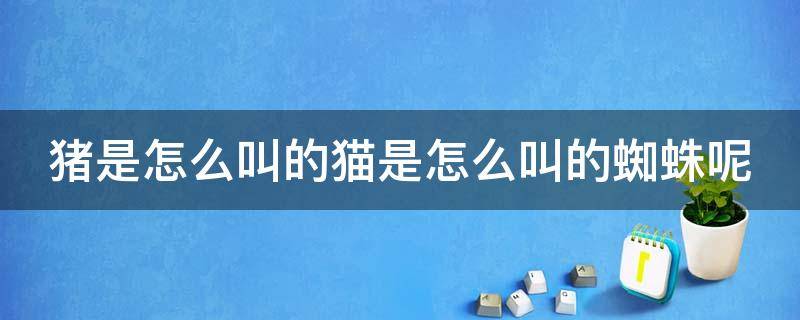 猪是怎么叫的猫是怎么叫的蜘蛛呢 猪是怎么叫的猫是怎么叫的蜘蛛呢视频