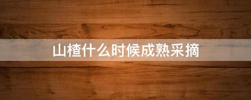 山楂什么时候成熟采摘（山楂什么季节成熟采摘）