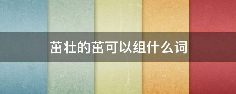 茁壮的茁可以组什么词（茁壮的茁还可以组什么词）