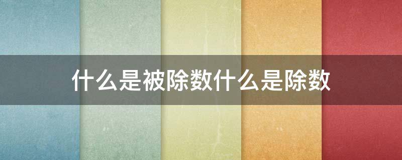 什么是被除数什么是除数（什么是被除数什么是除数?）