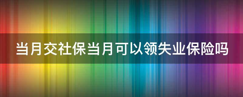 当月交社保当月可以领失业保险吗 当月交社保当月可以领失业保险吗怎么查