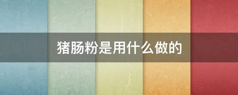 猪肠粉是用什么做的（猪肠粉是用什么做的视频）