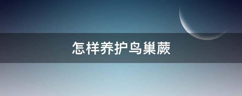怎样养护鸟巢蕨（怎样养护鸟巢蕨植物）