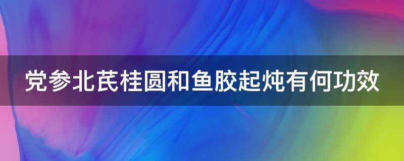 党参北芪桂圆和鱼胶起炖有何功效（鱼胶党参红枣桂圆功效）