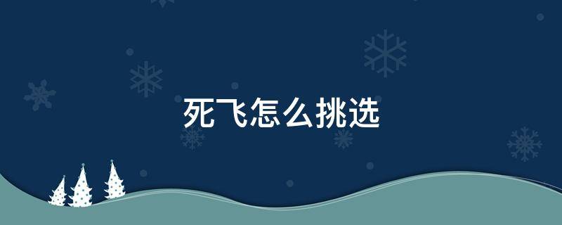 死飞怎么挑选（死飞买什么牌子）