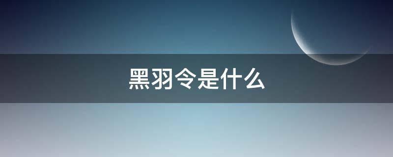 黑羽令是什么 黑羽令是什么小说