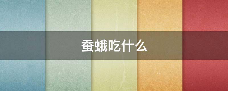 蚕蛾吃什么 蚕蛾吃什么东西才能养活