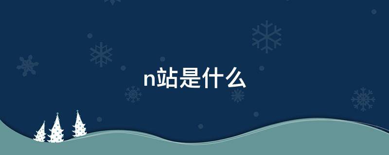 n站是什么（N站是什么时候出来的）