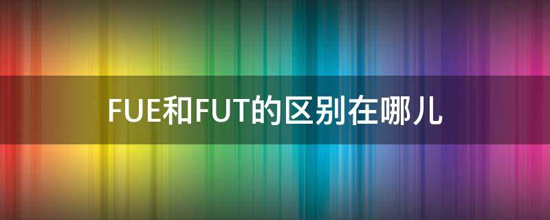 FUE和FUT的区别在哪儿（fue和bht）
