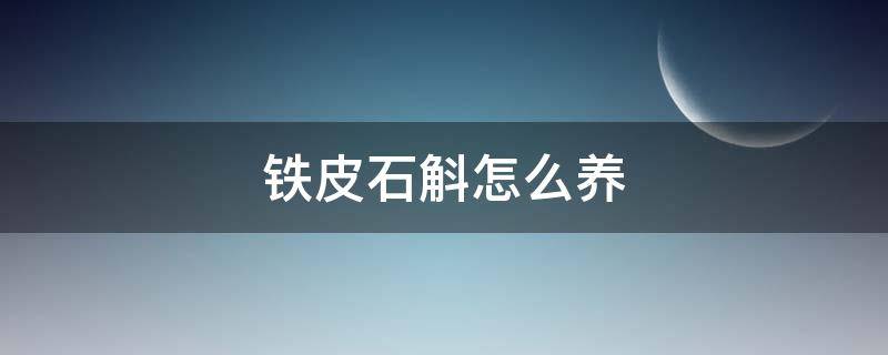 铁皮石斛怎么养（铁皮石斛怎么养家庭养法）