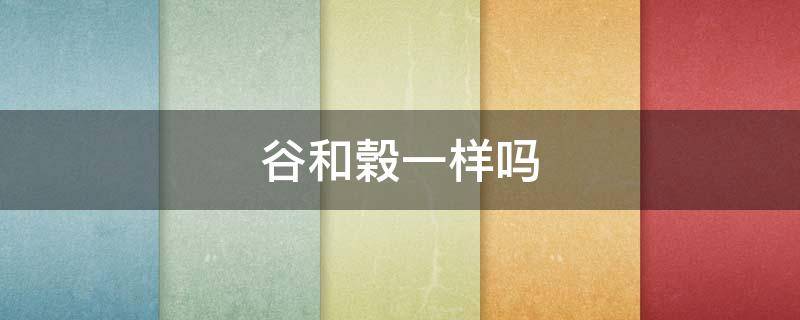 谷和榖一样吗（谷和米有什么区别）