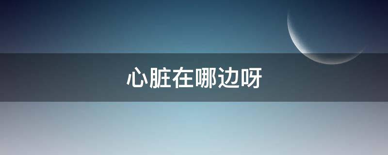 心脏在哪边呀 心脏在那边呀