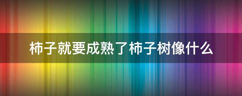 柿子就要成熟了柿子树像什么（柿子就要成熟了柿子树像什么造句）
