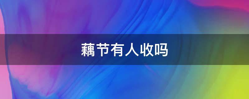 藕节有人收吗 有收藕的吗
