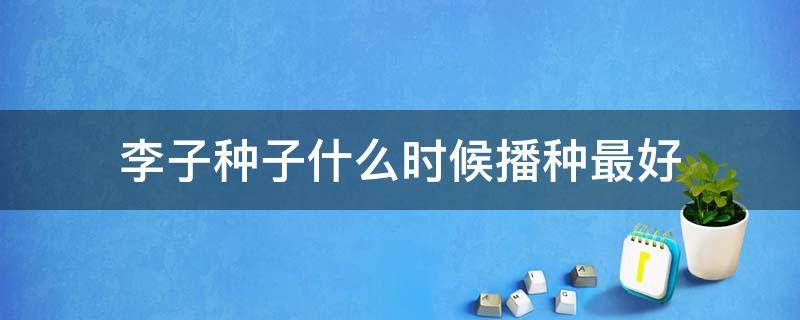 李子种子什么时候播种最好（李子播种季节）