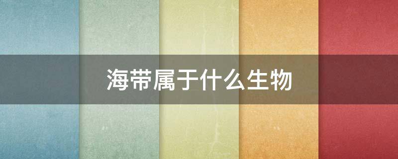 海带属于什么生物 海带属于什么生物类型