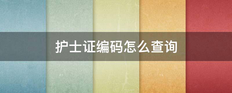 护士证编码怎么查询 护士资格证编码怎么查
