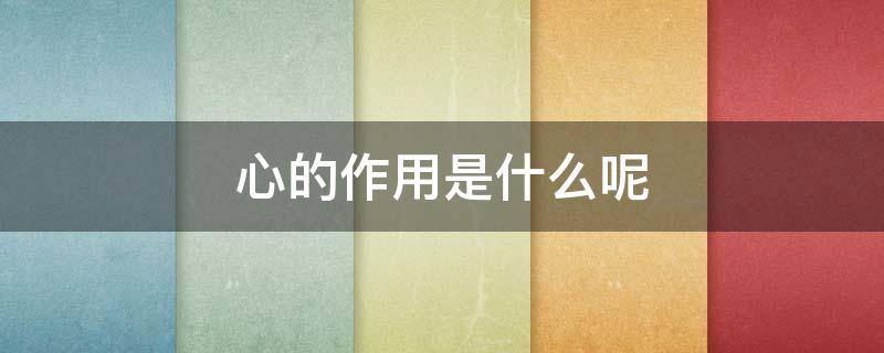 心的作用是什么呢（心的功能和作用详解）