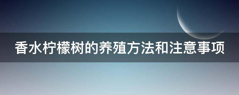 香水柠檬树的养殖方法和注意事项（柠檬的养殖方法和注意事项 盆栽）