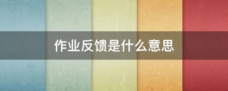 作业反馈是什么意思 作业反馈怎么说