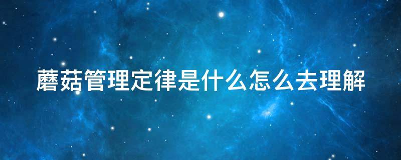 蘑菇管理定律是什么怎么去理解（蘑菇管理理论）