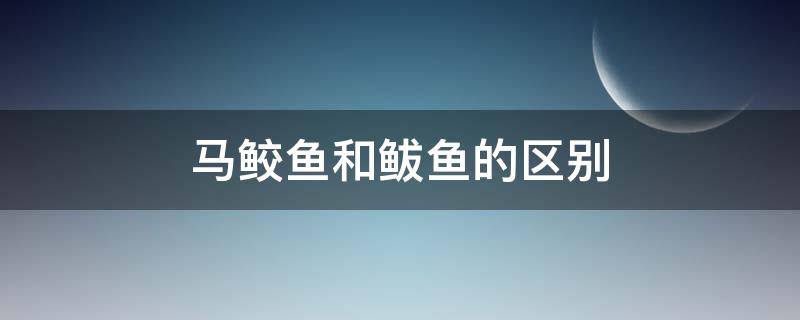 马鲛鱼和鲅鱼的区别（马鲛鱼和鲅鱼的区别及价格）
