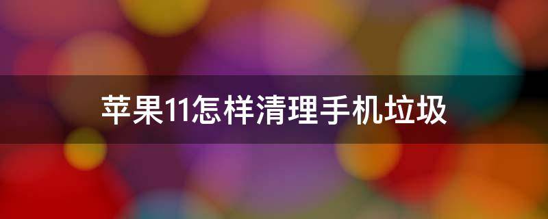 苹果11怎样清理手机垃圾（苹果11怎样清理手机垃圾和垃圾）