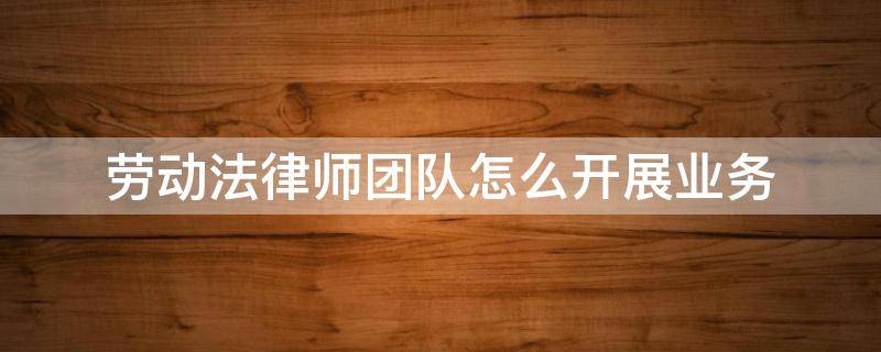 劳动法律师团队怎么开展业务 劳动法律师团队怎么开展业务培训