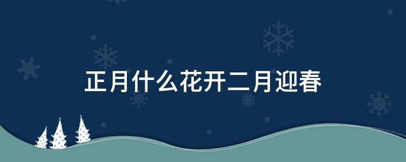 正月什么花开二月迎春（正月什么花开,二月迎春）