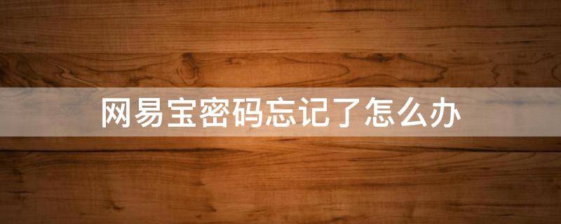 网易宝密码忘记了怎么办（网易宝密码忘记了怎么办啊）