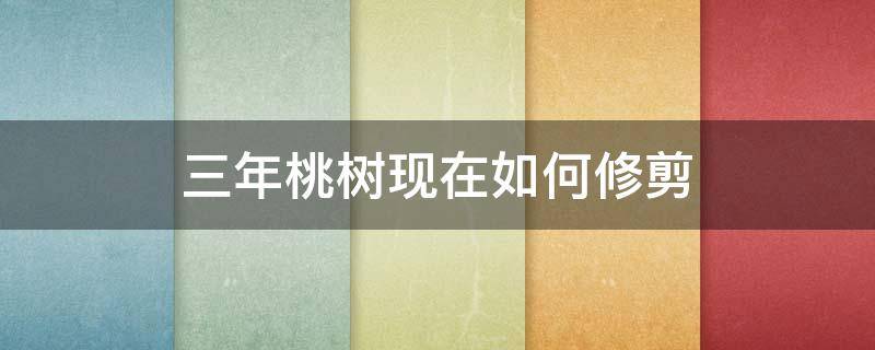 三年桃树现在如何修剪 三年桃树现在如何修剪视频