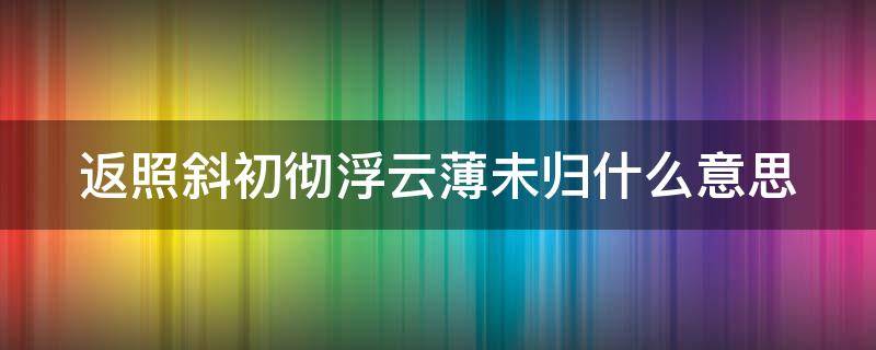 返照斜初彻浮云薄未归什么意思（返照斜初彻的意思）