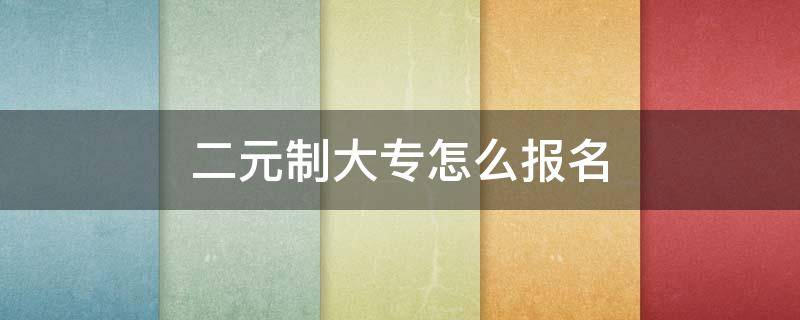 二元制大专怎么报名（二元制大专报名入口官网）