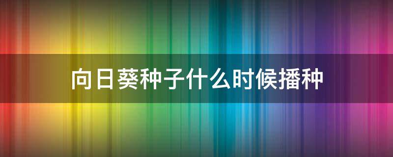 向日葵种子什么时候播种 向日葵种子什么时候播种最佳