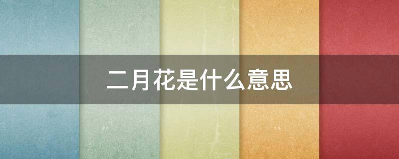 二月花是什么意思（山行里的二月花是什么意思）