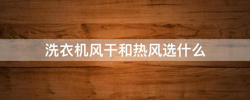 洗衣机风干和热风选什么（洗衣机风干和热风选什么模式）