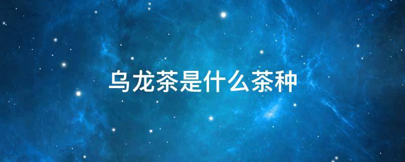 乌龙茶是什么茶种（乌龙茶是不是红茶）