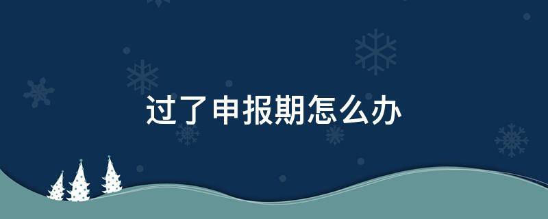 过了申报期怎么办（过了申报期未申报怎么办）