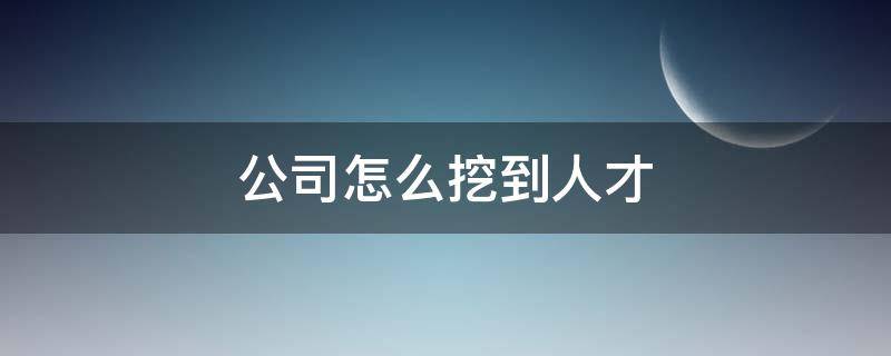 公司怎么挖到人才 怎么挖人才到小公司