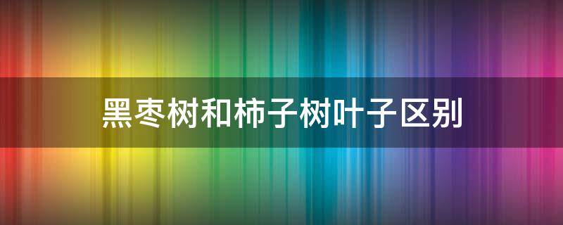 黑枣树和柿子树叶子区别（黑枣树与柿子树怎么嫁接方法）