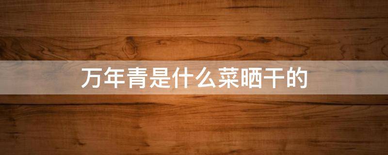 万年青是什么菜晒干的（万年青干的怎么吃）